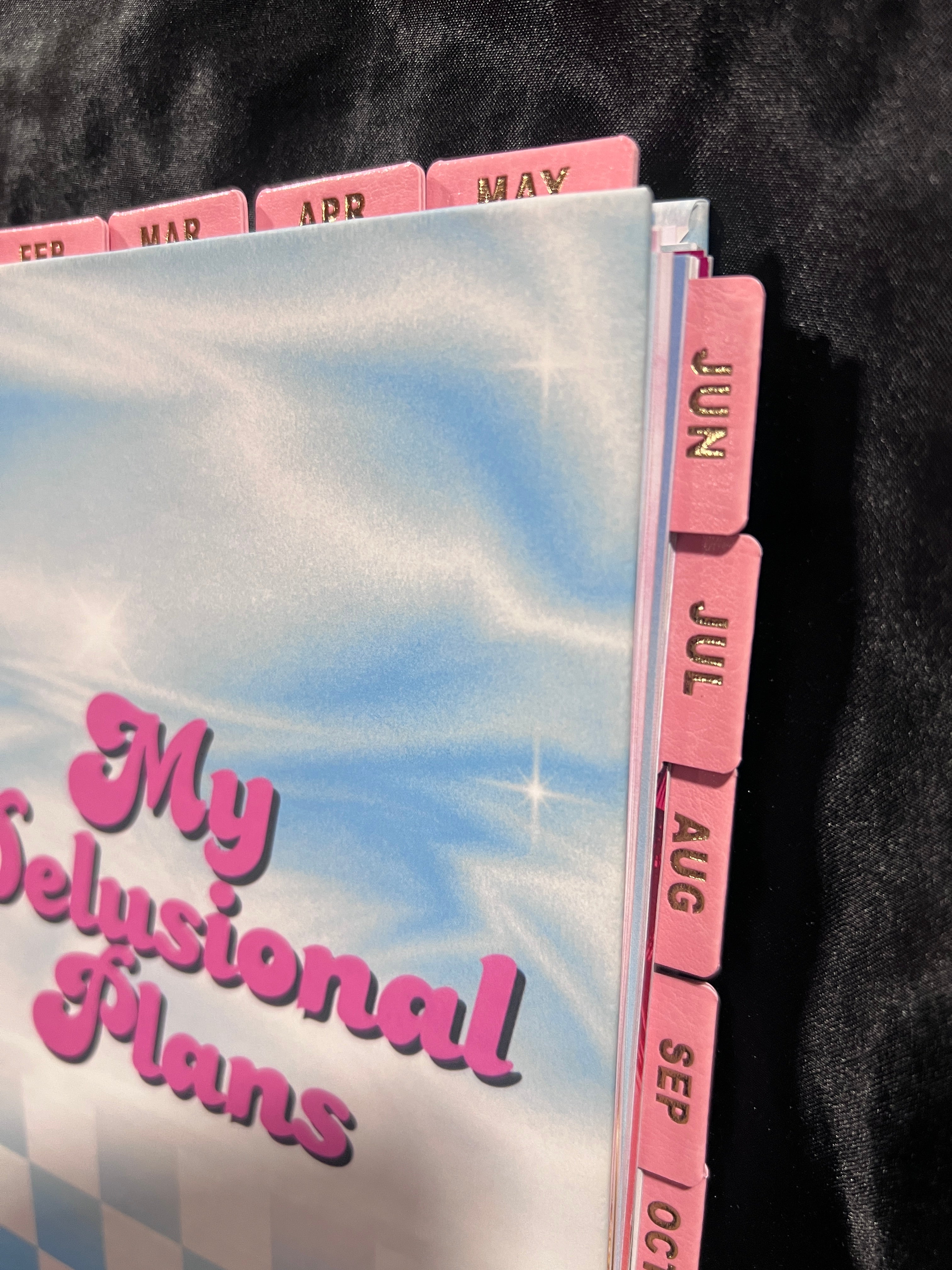 My Delusional Plans Planner 2026 | Goal-Setting & Manifestation Planner